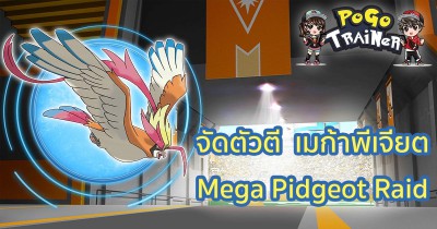 จัดตัวตี  เมก้าพีเจียต Mega Pidgeot Raid Guide